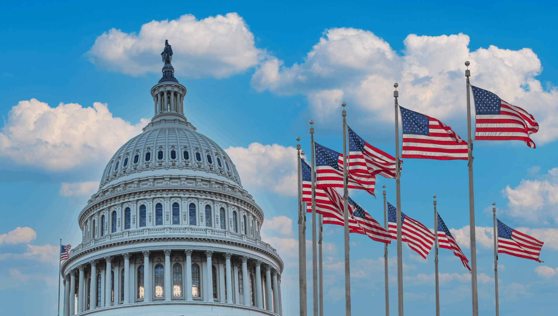 image of the federal government and flags